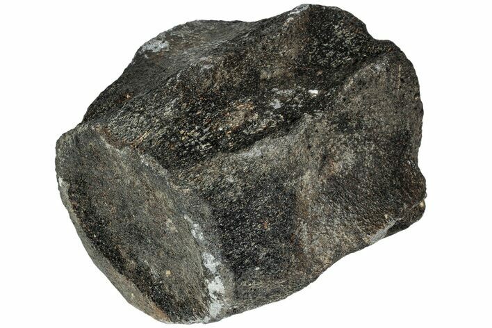 Fossil Whale Lumbar Vertebra - Yorktown Formation #224123